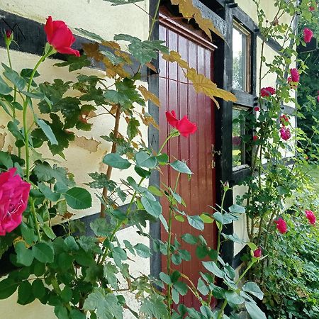 Bnb Het Geluk Van Limburg Malines Esterno foto