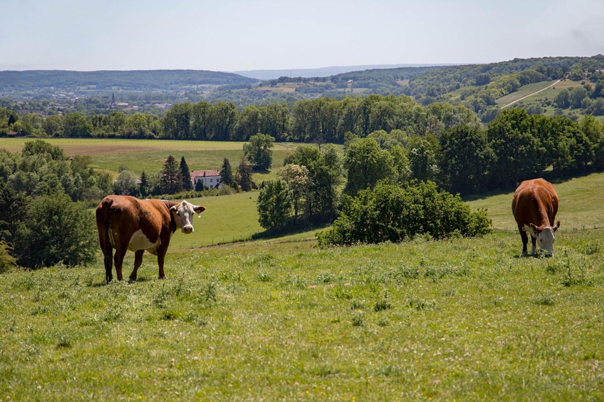 Bnb Het Geluk Van Limburg Malines Esterno foto