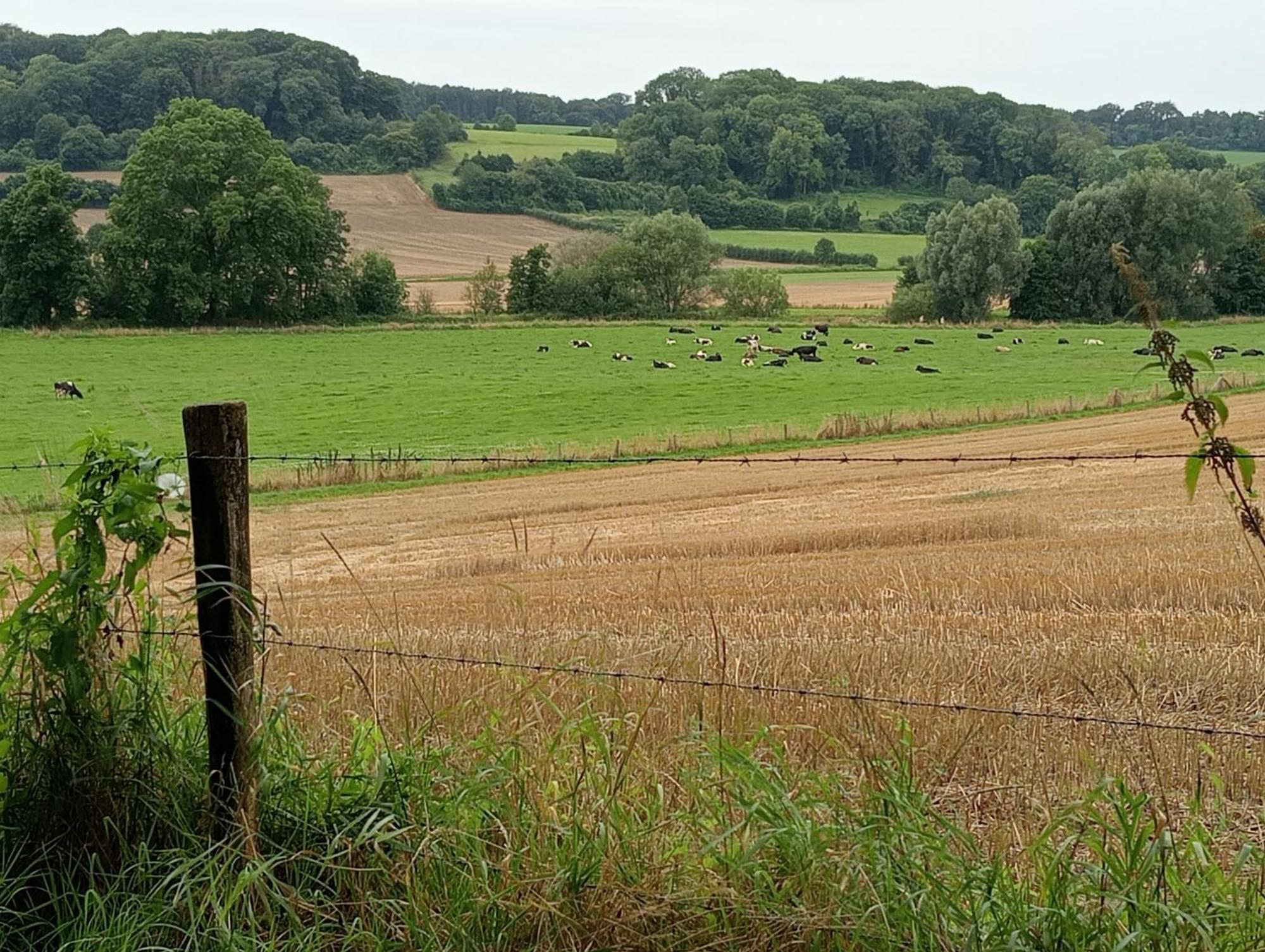 Bnb Het Geluk Van Limburg Malines Esterno foto
