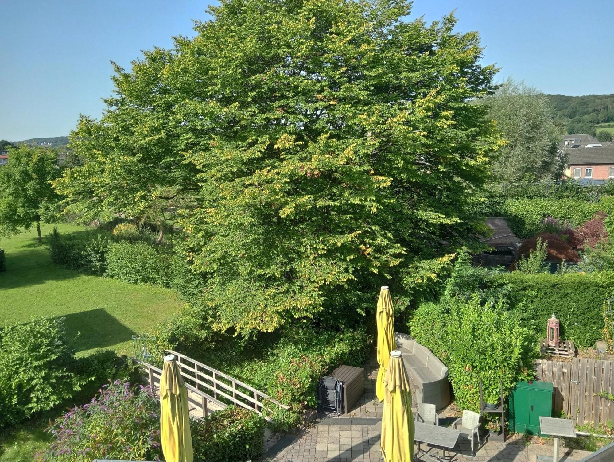 Bnb Het Geluk Van Limburg Malines Camera foto