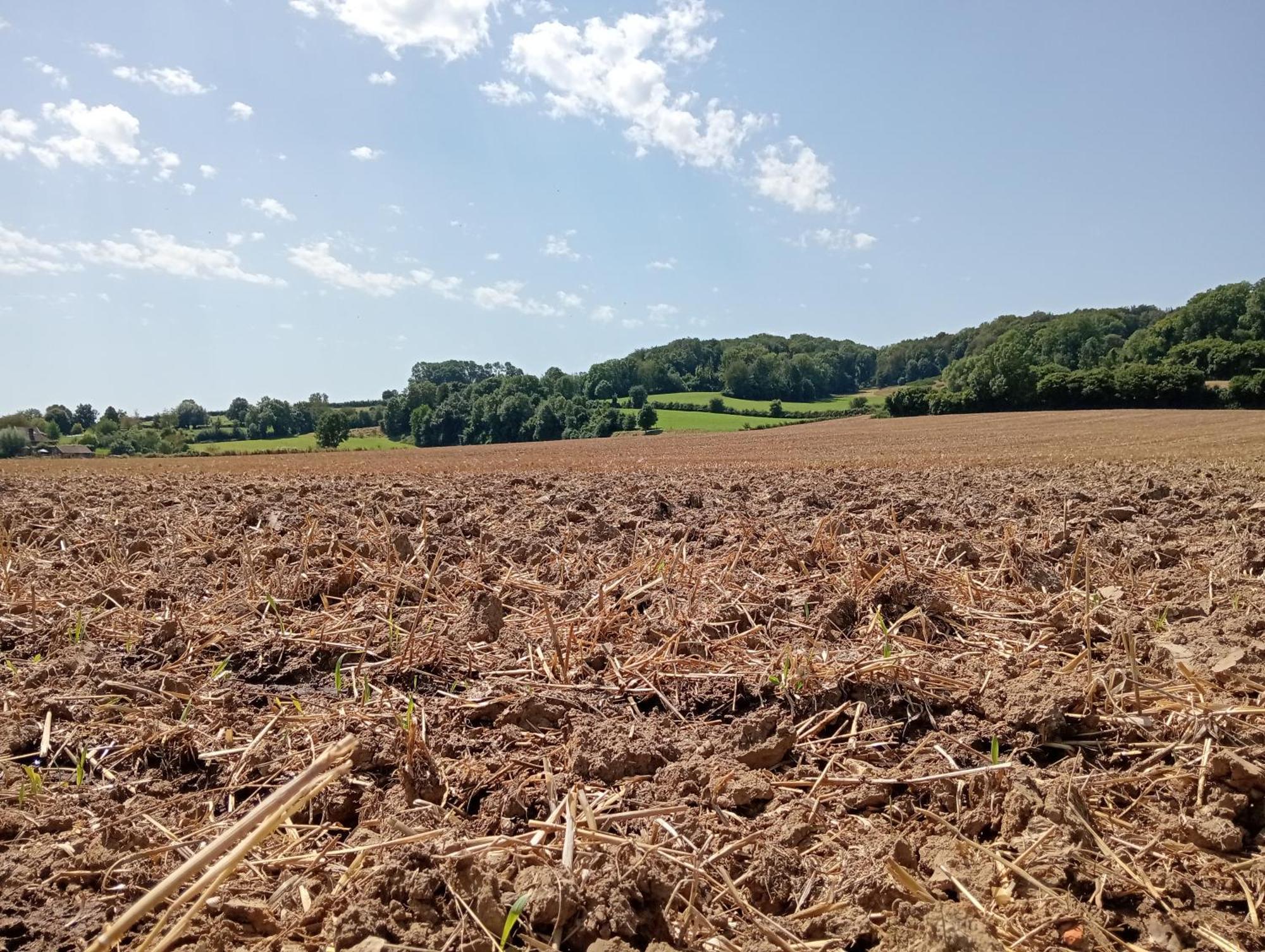 Bnb Het Geluk Van Limburg Malines Esterno foto